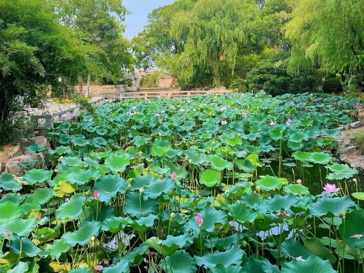 苏州启园（席家花园）好玩吗
