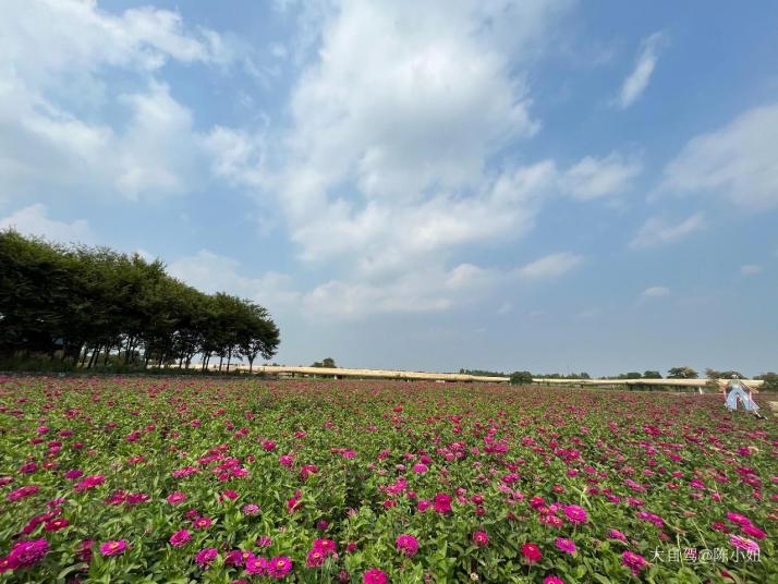 宿迁三台山天鹅湖