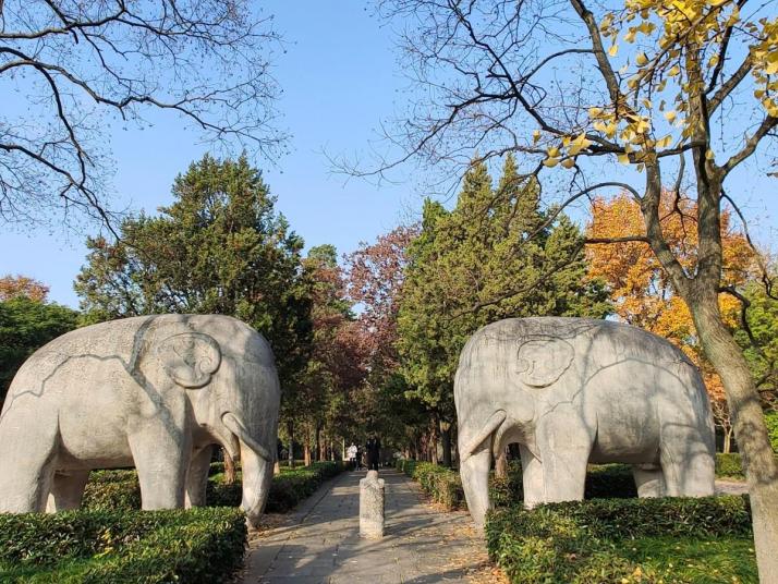 南京明孝陵图片