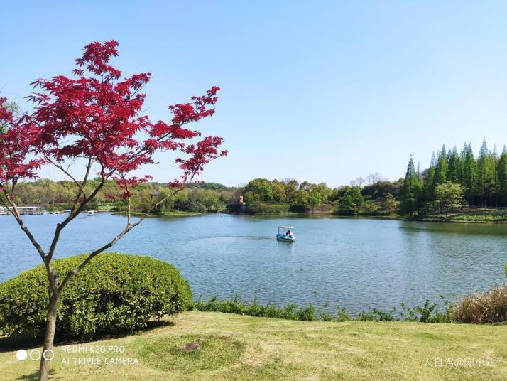 宜兴 龙背山森林公园图片