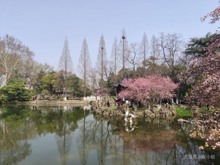 南京莫愁湖景区图片