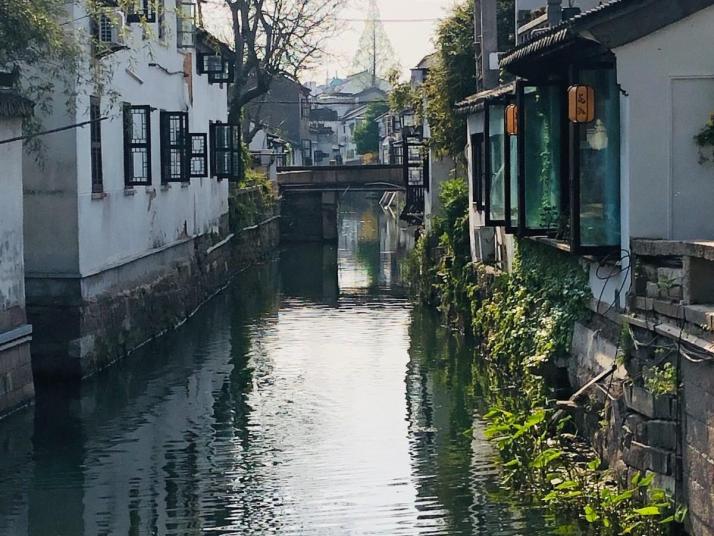 苏州金鸡湖图片