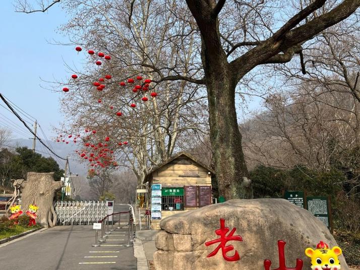 南京老山国家森林公园好玩吗