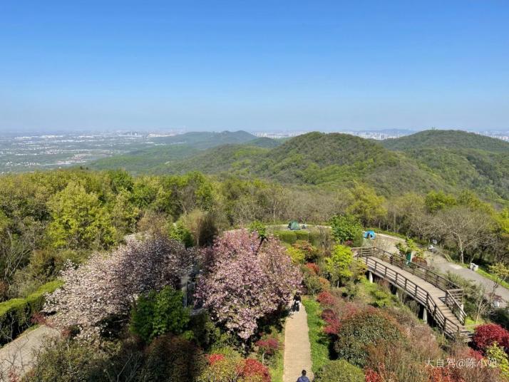 南京老山国家森林公园图片