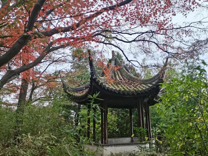 苏州留园图片