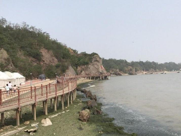 葫芦岛兴海栈道图片