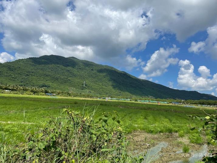 三亚水稻国家公园