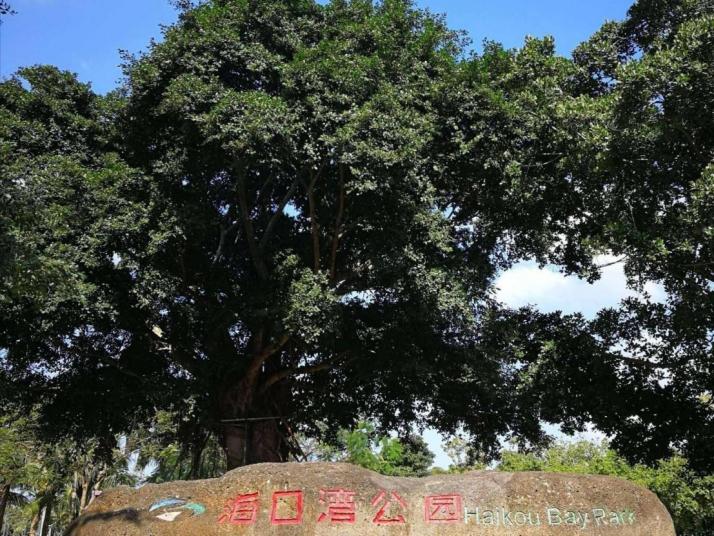海口 万绿园 好玩吗