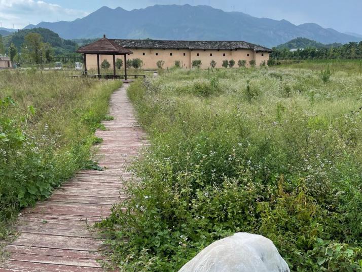 安远东生围