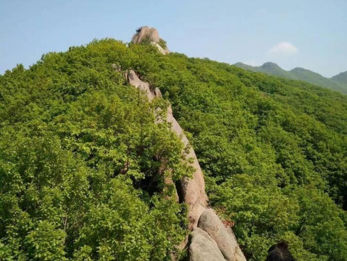 吉林市朱雀山国家森林公园