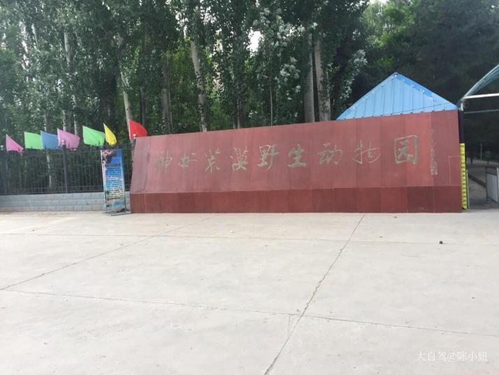 武威神州荒漠野生动物园图片