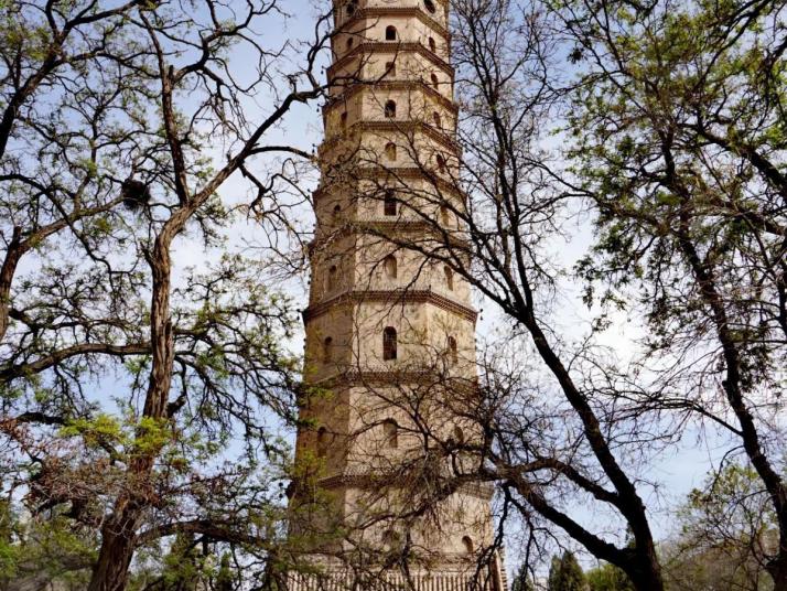 银川承天寺塔图片