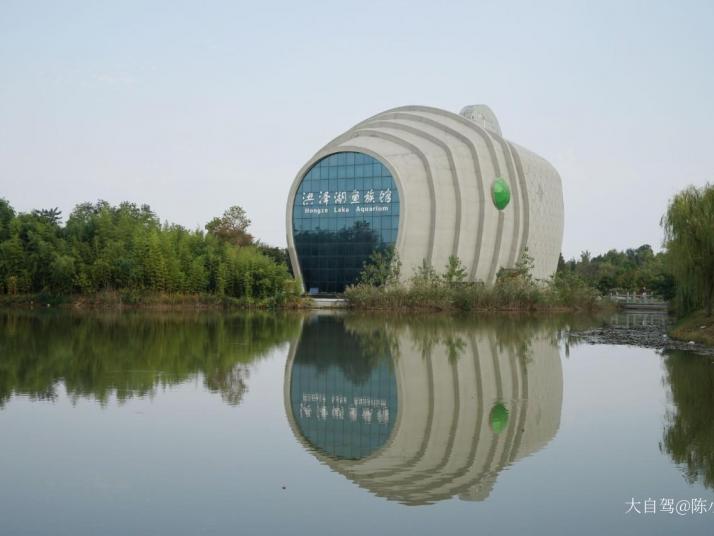 宿迁泗洪洪泽湖湿地好玩吗