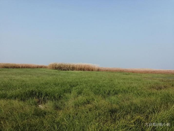 上饶鄱阳湖湿地公园好玩吗