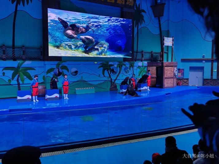 石家庄石家庄极地海洋世界