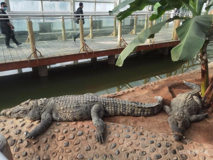 石家庄石家庄极地海洋世界图片