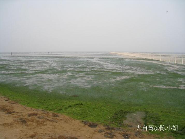 秦皇岛北戴河湿地公园
