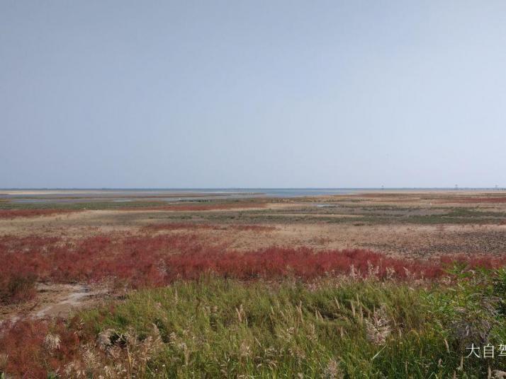 秦皇岛北戴河湿地公园图片