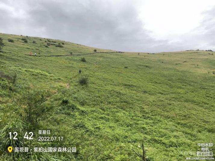 留坝紫柏山国家森林公园好玩吗