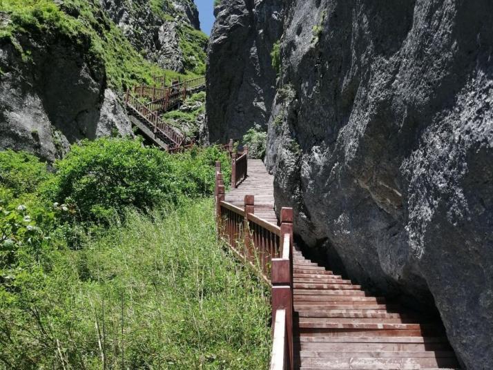留坝紫柏山国家森林公园图片