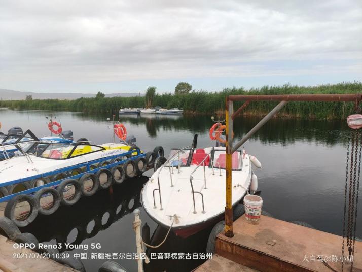 博湖库尔勒莲花湖
