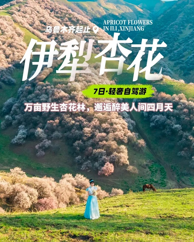 乌鲁木齐集合伊犁杏花7日自驾游：赛里木湖-土尔根杏花-恰西-那拉提-库木塔格沙漠-不走回头路自驾游