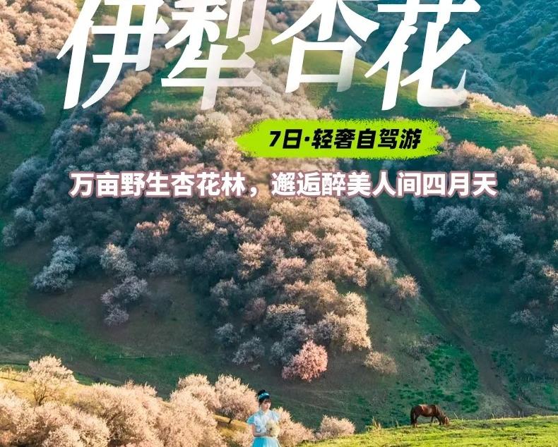 乌鲁木齐集合伊犁杏花7日自驾游：赛里木湖-土尔根杏花-恰西-那拉提-库木塔格沙漠-不走回头路