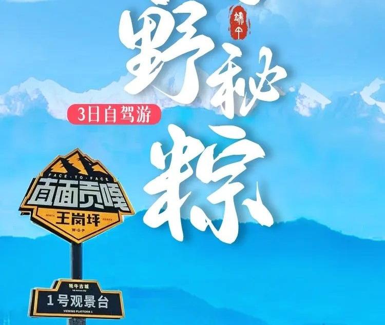 成都出发雅安3日自驾游：端午【甜野秘粽】王岗坪-冶勒湖-汉源车厘子采摘3日自驾游