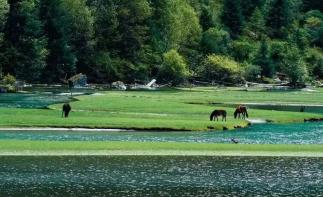 重庆出发川西4日自驾游：【月亮之上】康定月亮湖-子梅垭口-甲根坝-鱼子西-塔公草原-机场路4日游-推荐