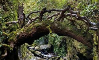 重庆出发云南玉溪5日自驾游：【勇闯哀牢山】哀牢山秘境探险-石门峡-南恩瀑布-石屏古城-异龙湖-抚仙湖-推荐