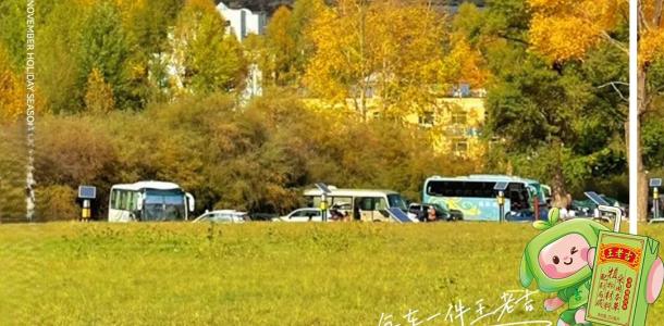 重庆出发西北6日自驾游：【秋色冷龙岭】浪士当-扎碾公路-沙坡头-天祝小三峡-六盘山-永泰古城6日自驾自驾游