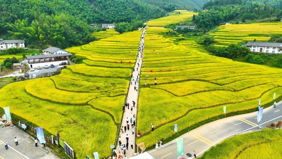 广东出发江西4日自驾游：上堡梯田-阳明湖-王阳明博物馆-吃阳明宴休闲度假4天自驾游自驾游