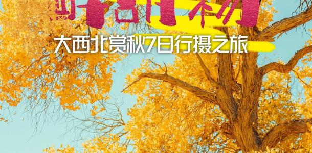 兰州集合西北胡杨林7日自驾游：【醉胡杨】北山林场-冷龙岭-祁连山-额济纳胡杨林-居延海7日游自驾游