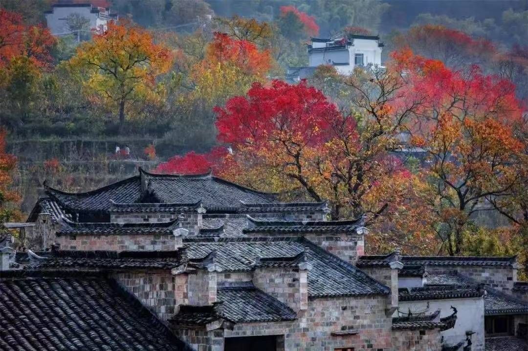 常州出发安徽皖南3日自驾游：【皖南秋色】翡翠谷-218风景道-西递宏村-塔川秋色3日游自驾游