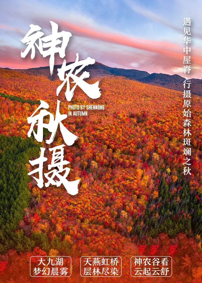 山东出发湖北神农架5日自驾游：【神农架赏秋】神农坛-天生桥-神农顶-大九湖-天燕景区-神农天路自驾游