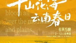 昆明集合云南滇东南6日自驾游：【千山花海】昆明冬樱花-蒙自梨花-建水古城-罗平油菜花-抚仙湖-推荐