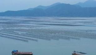 珠三角出发惠州2日自驾游：火到港澳东南亚的惠州生蚝-看渔民开蚝-生蚝宴-清泉古寺2日游-推荐