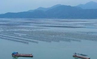 珠三角出发惠州2日自驾游：火到港澳东南亚的惠州生蚝-看渔民开蚝-生蚝宴-清泉古寺2日游-推荐