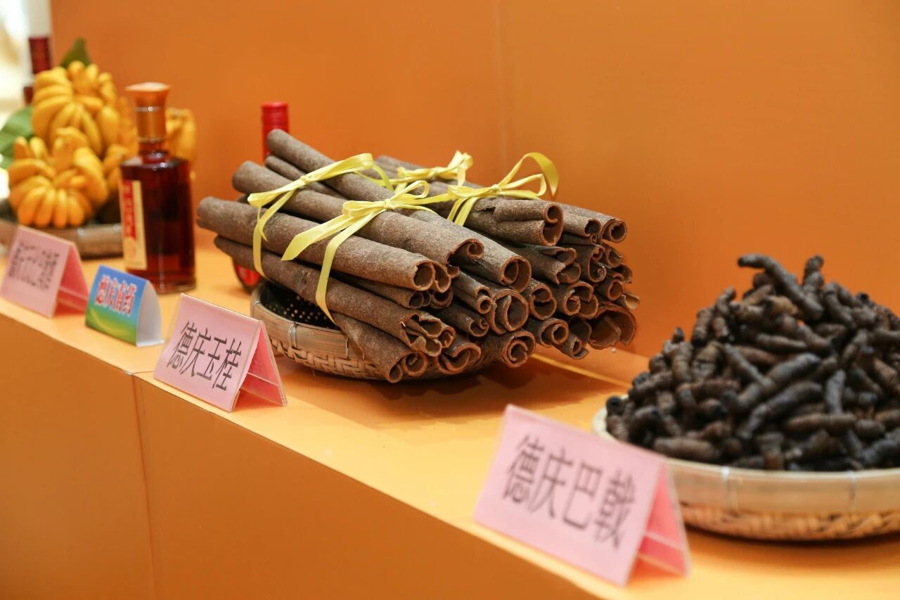 珠三角出发德庆2日自驾游：探秘世界上最贵的树皮源头德庆肉桂-巴戟-皇帝贡柑2日游自驾游