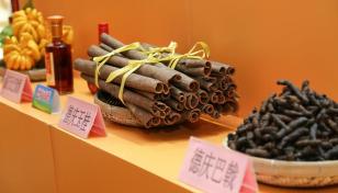 珠三角出发德庆2日自驾游：探秘世界上最贵的树皮源头德庆肉桂-巴戟-皇帝贡柑2日游-推荐