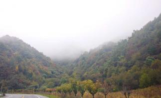 重庆出发汉中3日自驾游：秦岭隧道-最美古道秘境公路秦巴古道-西方沟挂壁天路-乐活城3日游-推荐