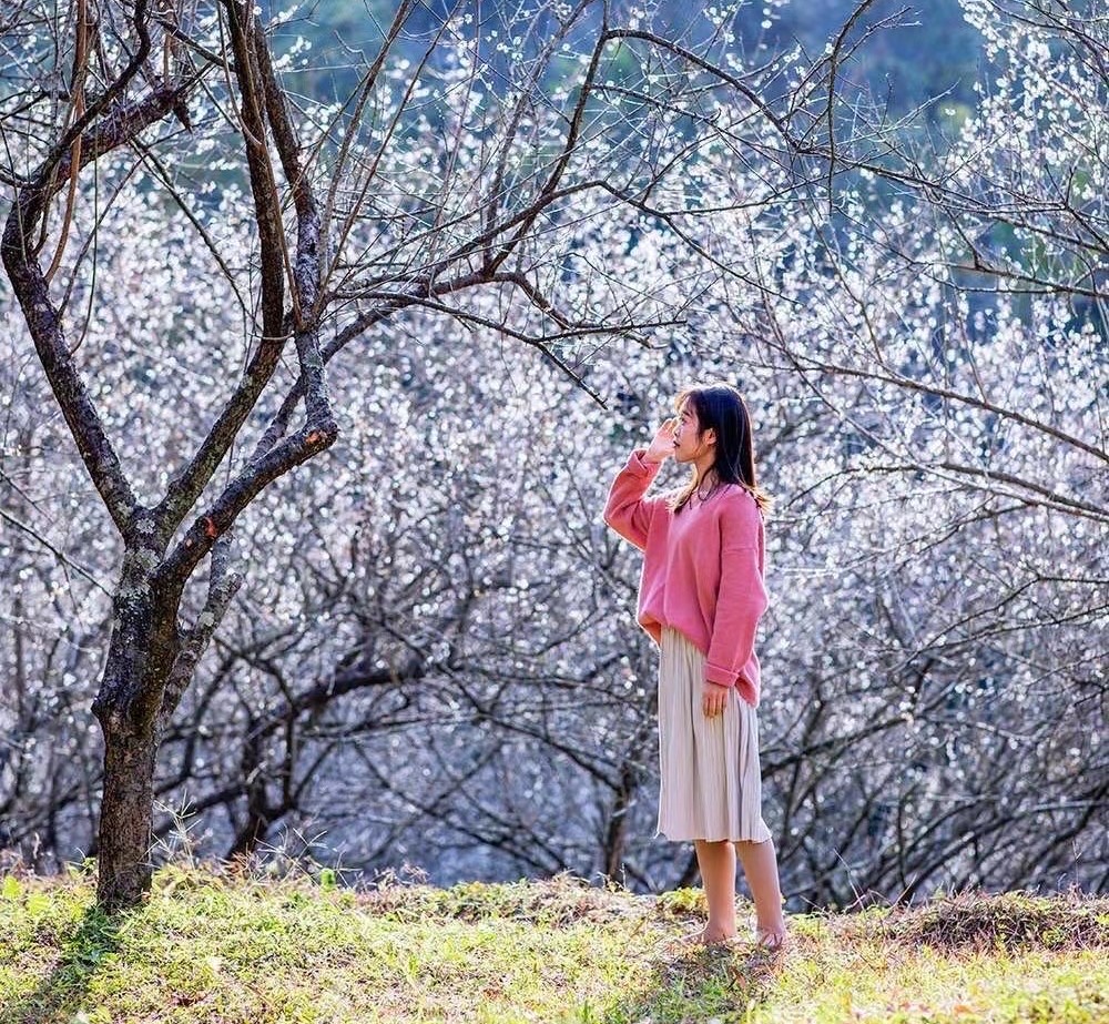 中山出发云浮2日自驾游：禅都新兴天露山赏梅-禅域小镇火神节-国恩寺祈福2天游自驾游