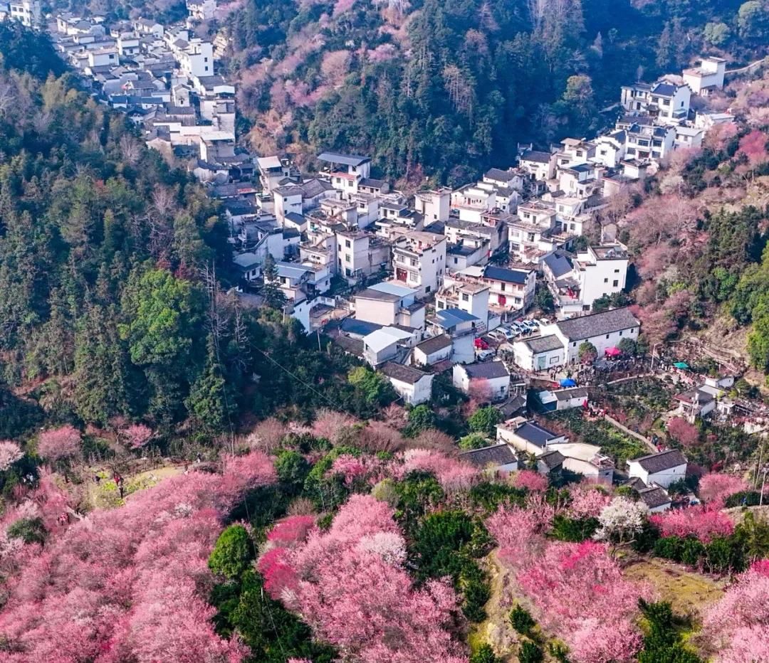 常州出发安徽皖南2日自驾游：打卡卖花渔村-呈坎古村-赏瞻淇鱼灯-徽州古城赏夜景自驾2日游自驾游