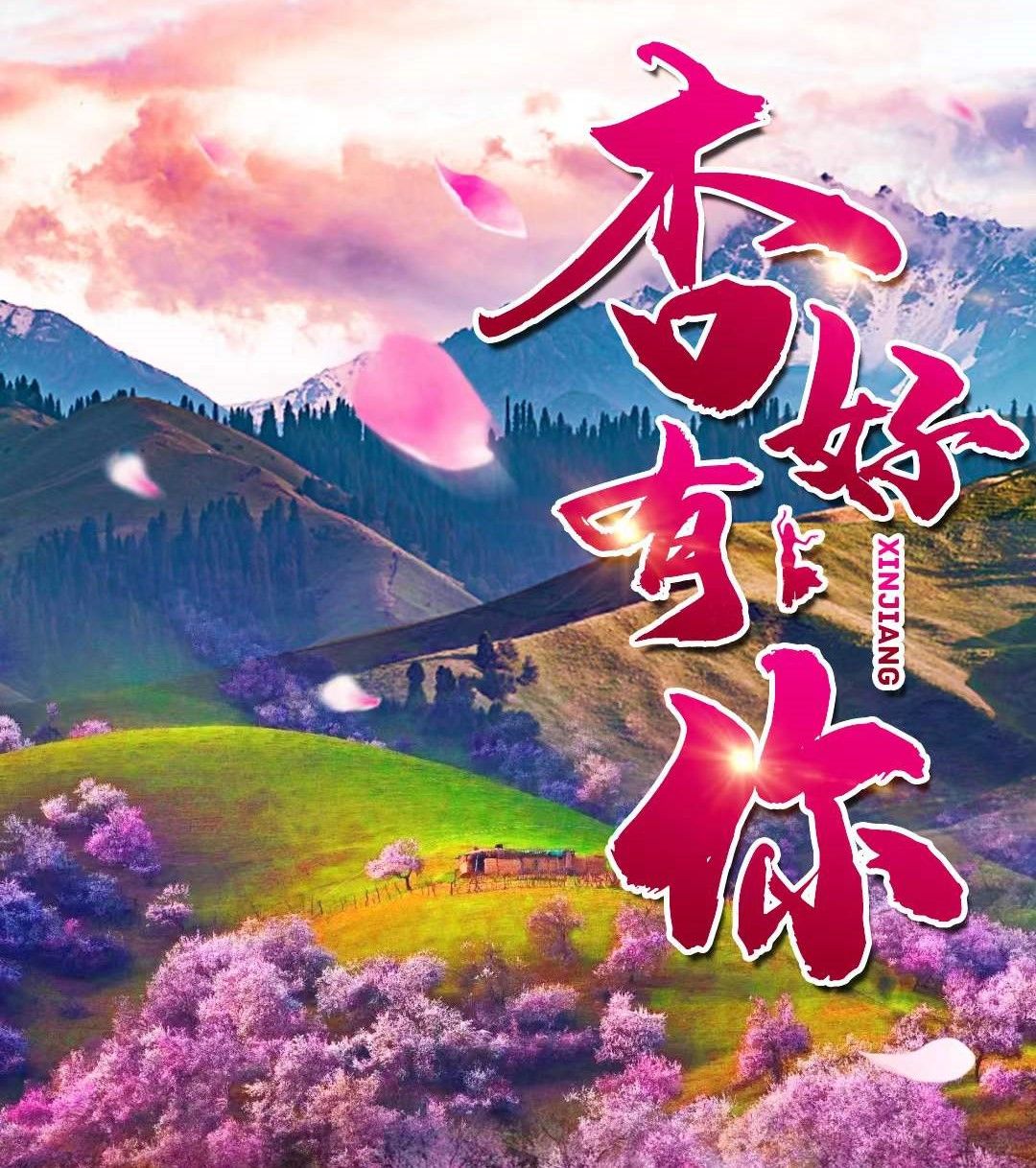乌鲁木齐集结伊犁杏花7日自驾游：【杏好有你】赛里木湖-吐尔根杏花沟-那拉提顶冰花7日自驾游自驾游