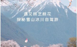 成都出发西藏桃花节18日自驾游：【藏地花开】遇见林芝桃花-探秘雪山冰川-川进中出18天有-推荐