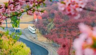 常州出发周末皖浙3日自驾游：穿越徽州天路-徽州古城-千岛湖中心湖游船-樱花岛自驾3日游-推荐