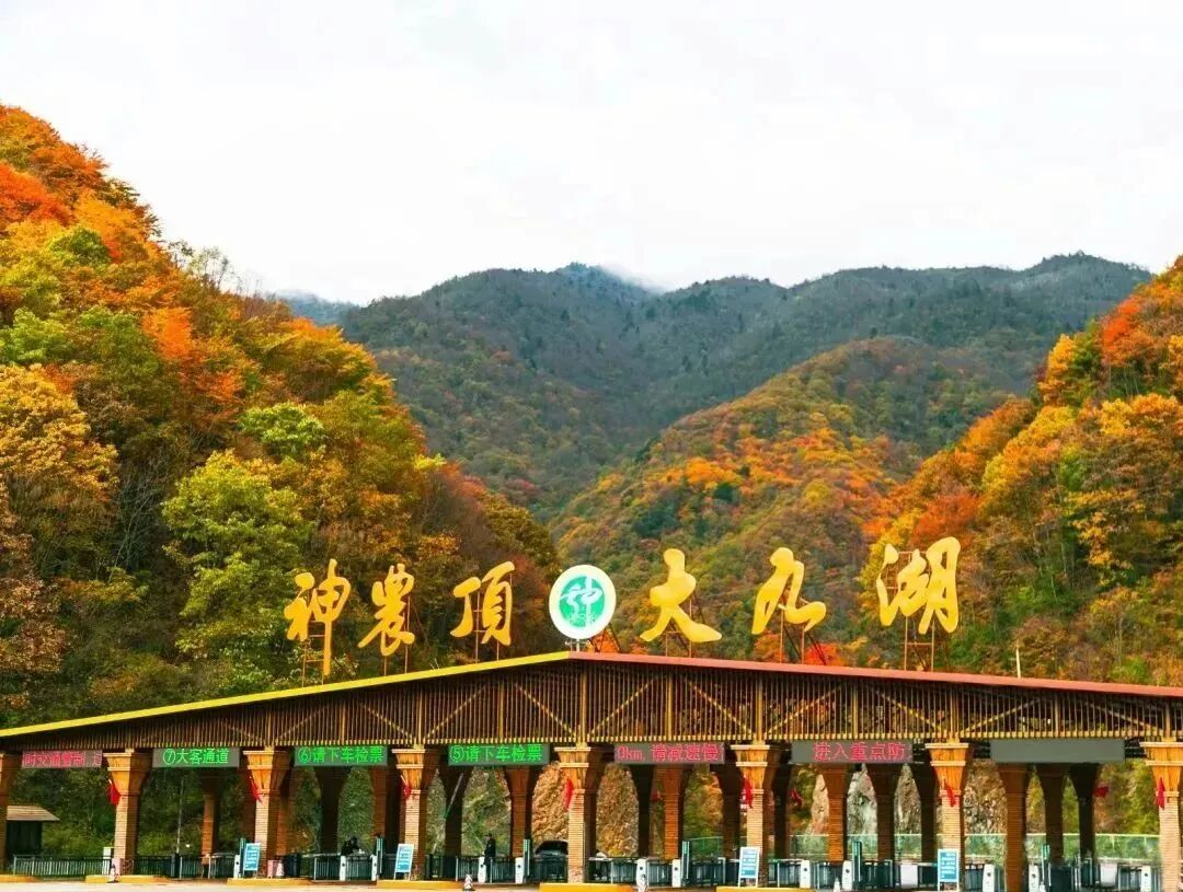 武汉出发五彩神农架4日自驾游：松巴无人山野-幽探11连洞-刀片峰秘境-穿行原始林海摄影美食4日游自驾游