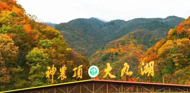 武汉出发五彩神农架4日自驾游：松巴无人山野-幽探11连洞-刀片峰秘境-穿行原始林海摄影美食4日游自驾游