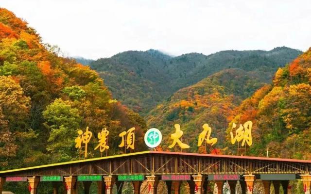 武汉出发五彩神农架4日自驾游：松巴无人山野-幽探11连洞-刀片峰秘境-穿行原始林海摄影美食4日游