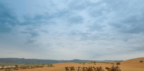 四川出发西北宁夏青海8日自驾：沙坡头-青海湖-坎布拉-甘南草原8日自驾游自驾游